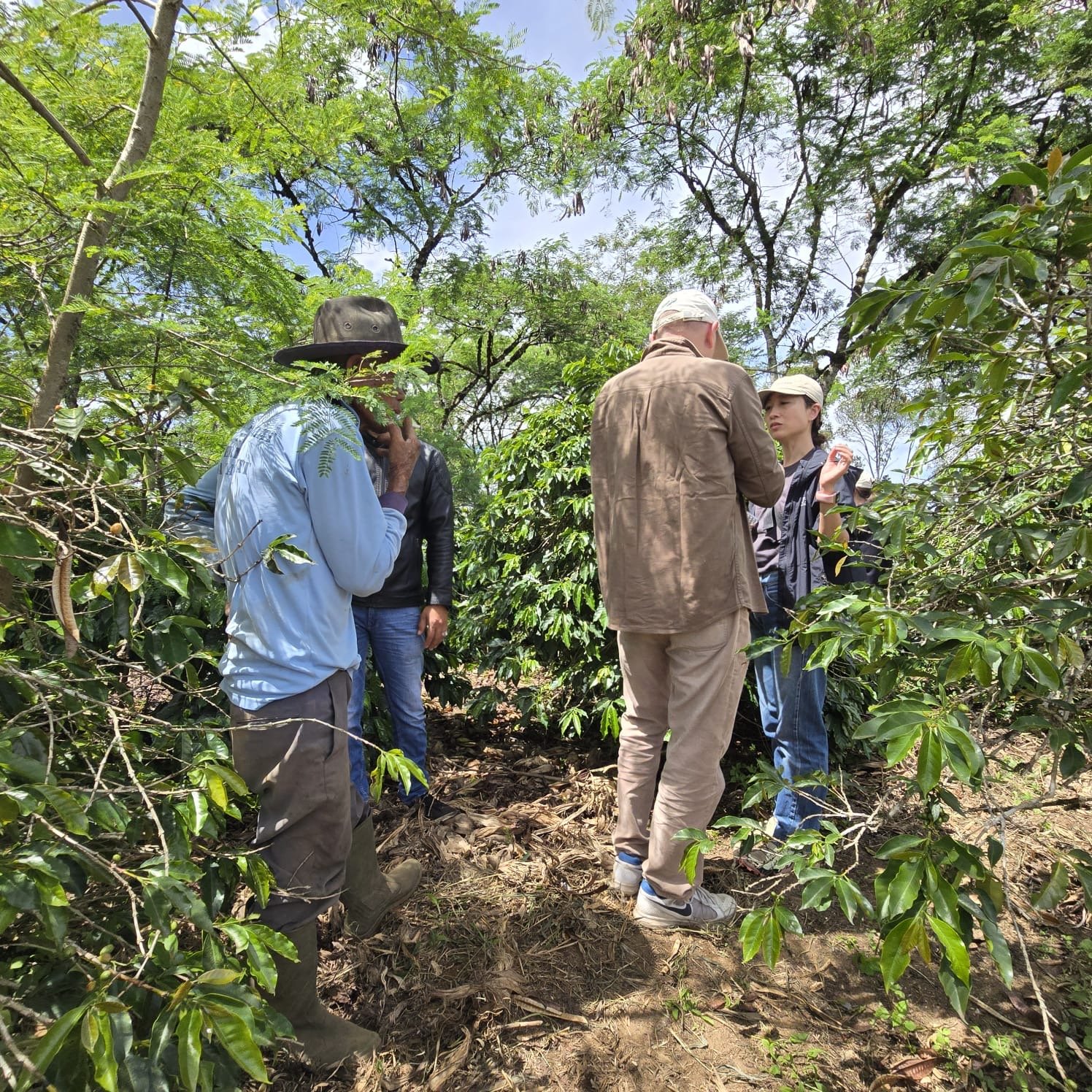 Visit from Japan and America 🇯🇵🇺🇸